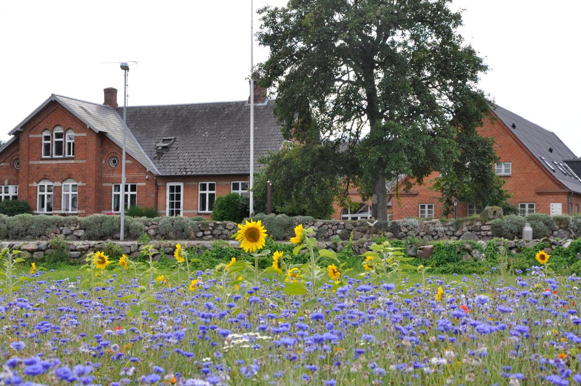 Lundsgaard Bed & Breakfast Faaborg Luaran gambar