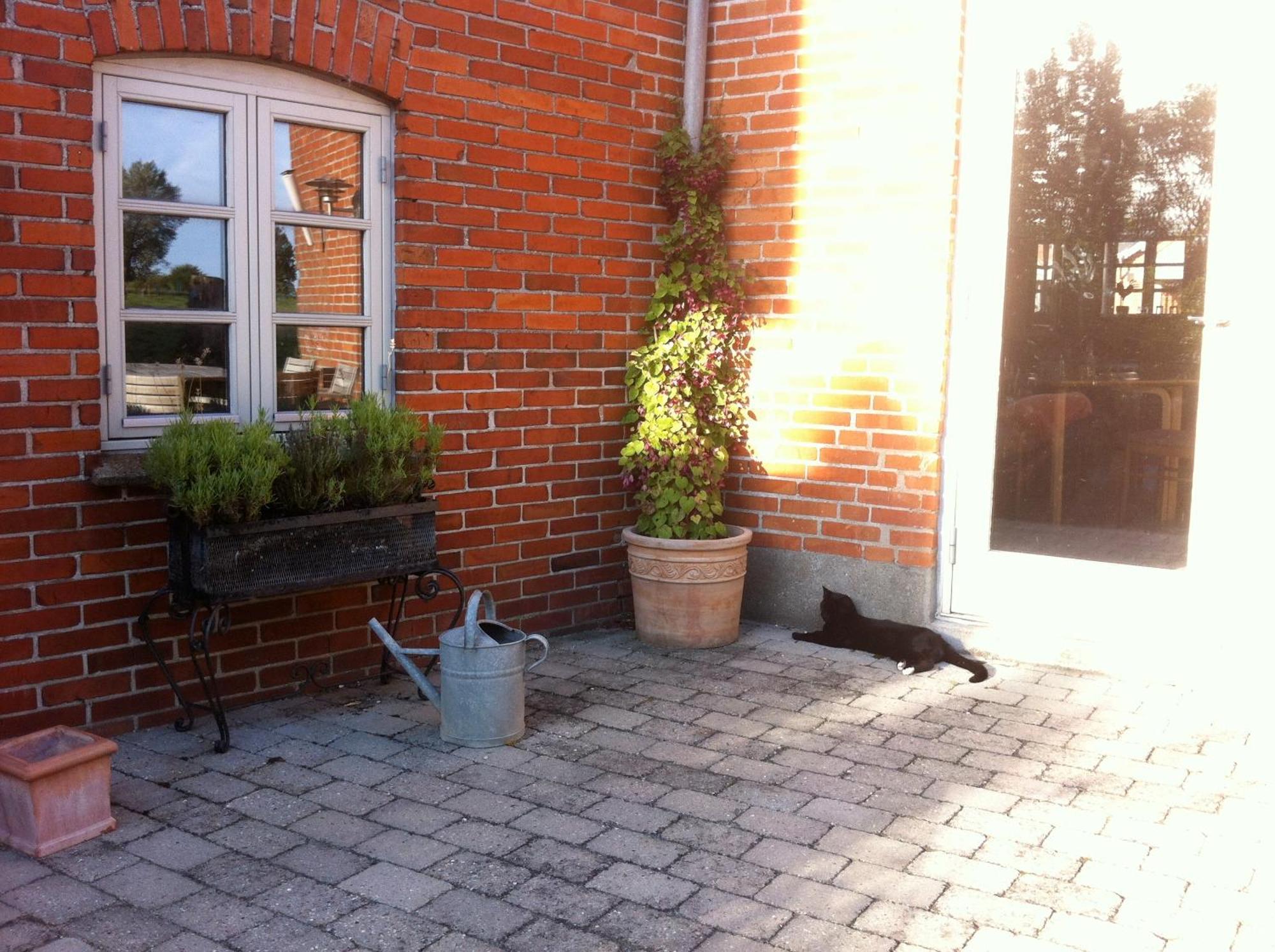 Lundsgaard Bed & Breakfast Faaborg Luaran gambar