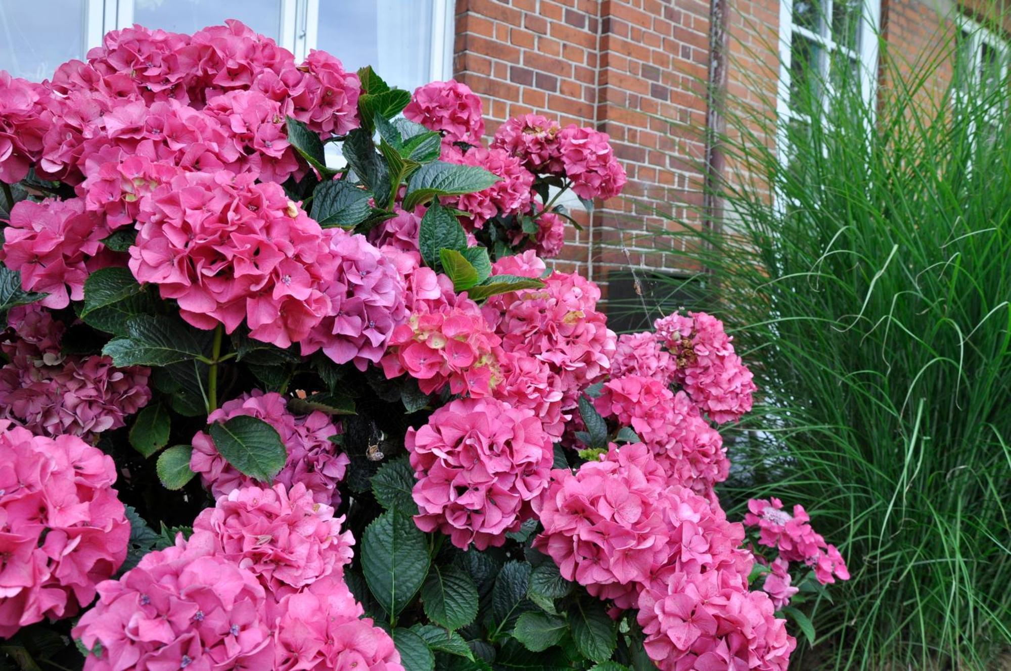 Lundsgaard Bed & Breakfast Faaborg Luaran gambar