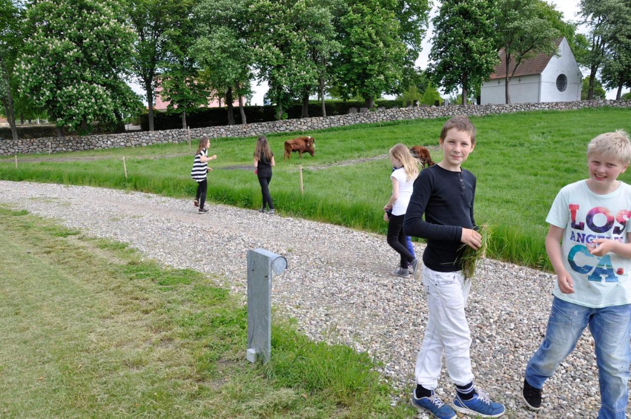Lundsgaard Bed & Breakfast Faaborg Luaran gambar